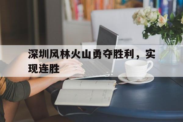 深圳风林火山勇夺胜利，实现连胜