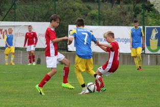 综合格斗赛场焦点！克罗地亚队对阵意大利队，激战正酣，豪门对决再度上演